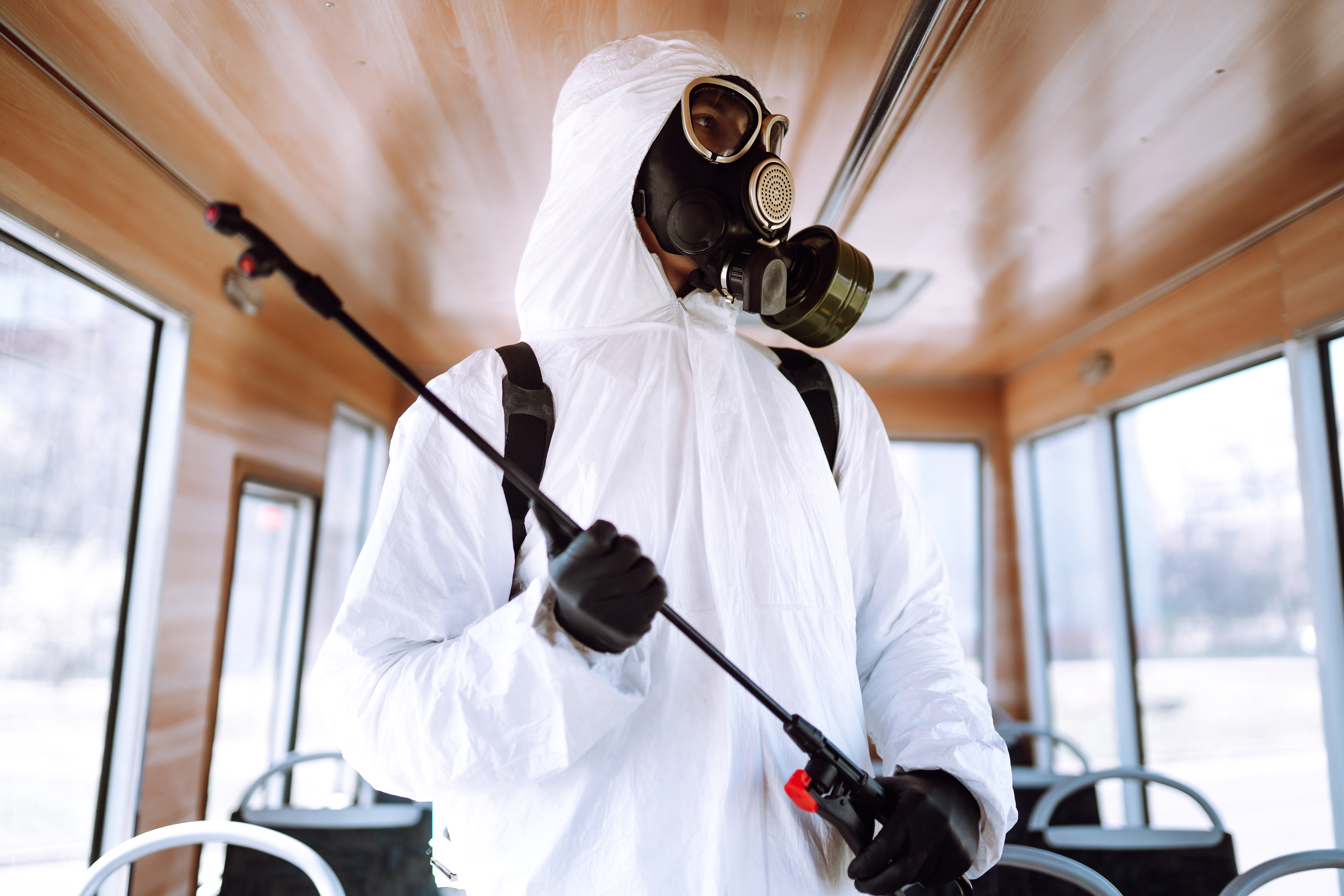Local Pest Removal: Efficient Solutions When You Need Them