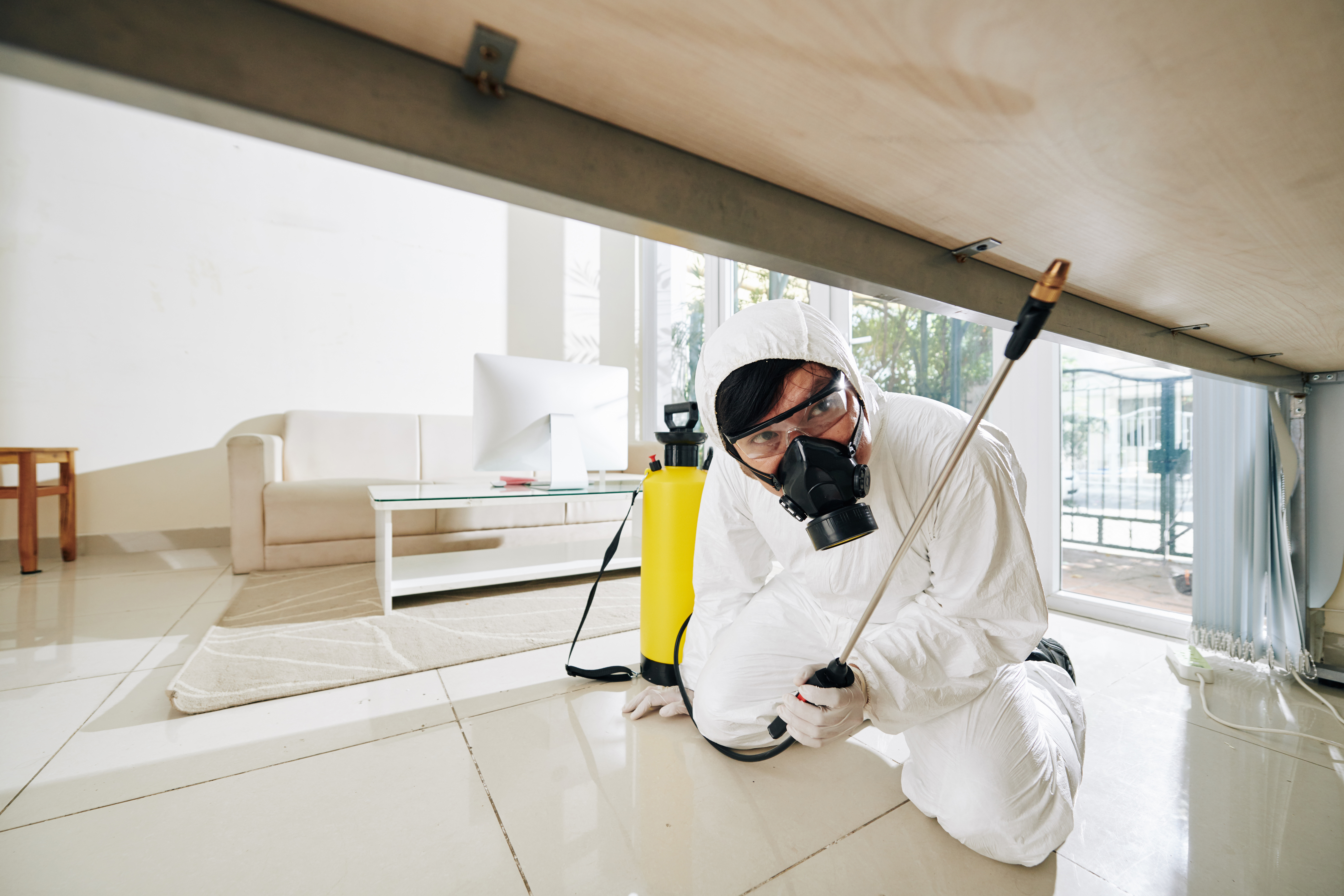 Essential Tips to Keep Pests Away After Your Treatment Is Complete