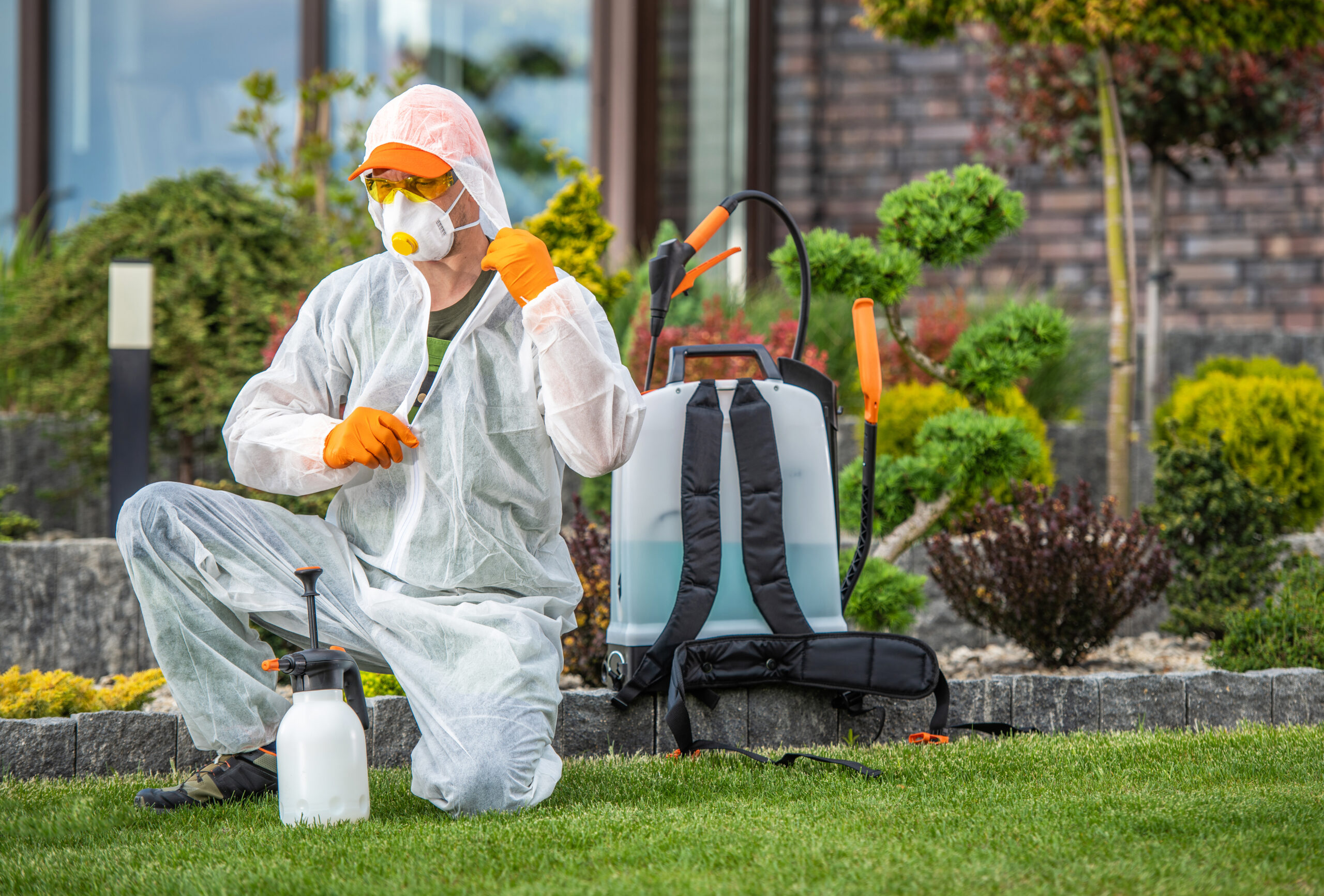 Local Pest Control Services: What to Expect
