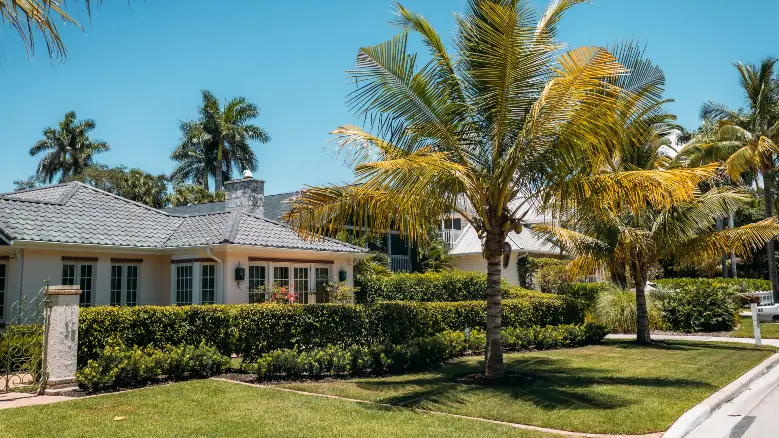 The side yard of a residential home in Florida